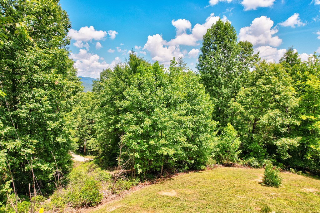 417330 Mineral Bluff Residential