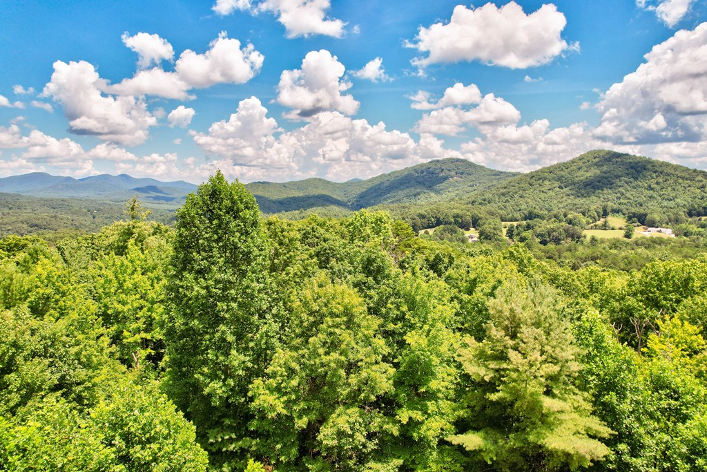 417330 Mineral Bluff Residential