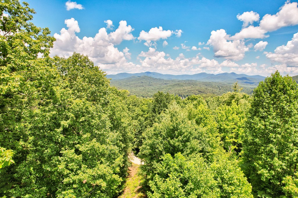 417330 Mineral Bluff Residential