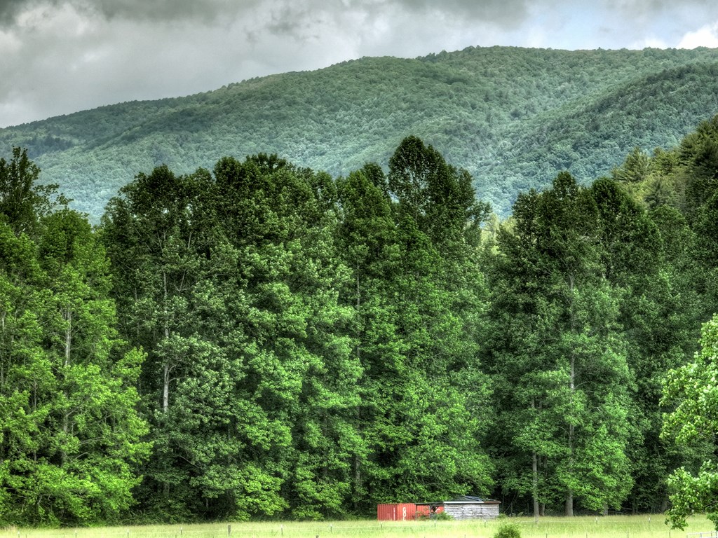 417355 Ellijay Residential