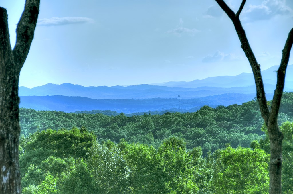 417372 Morganton Residential