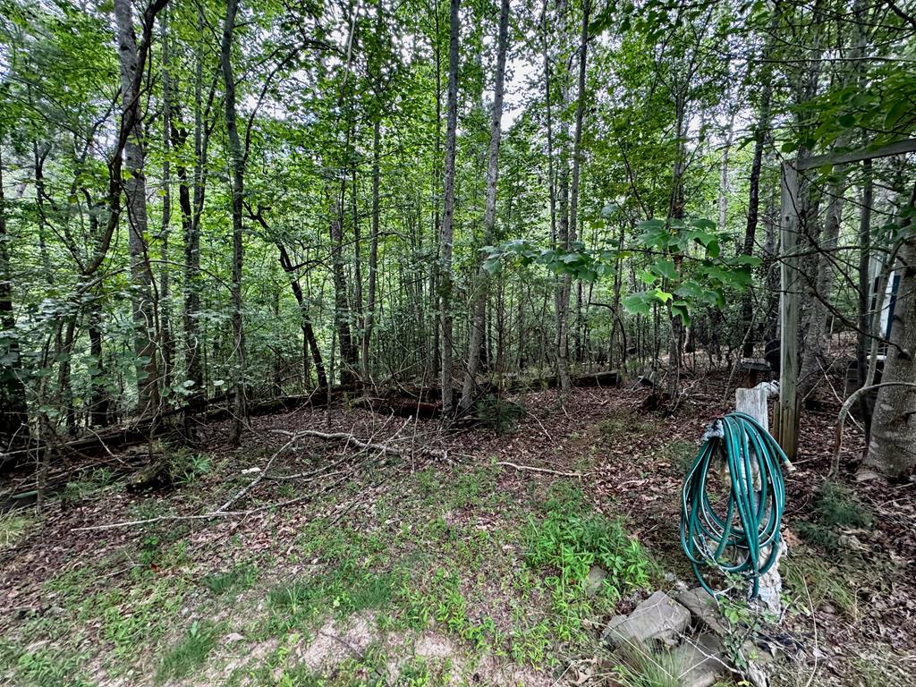 417378 Dahlonega Residential