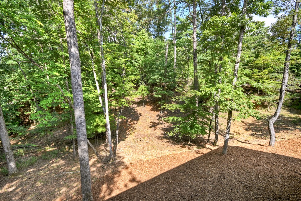 417380 Ellijay Residential