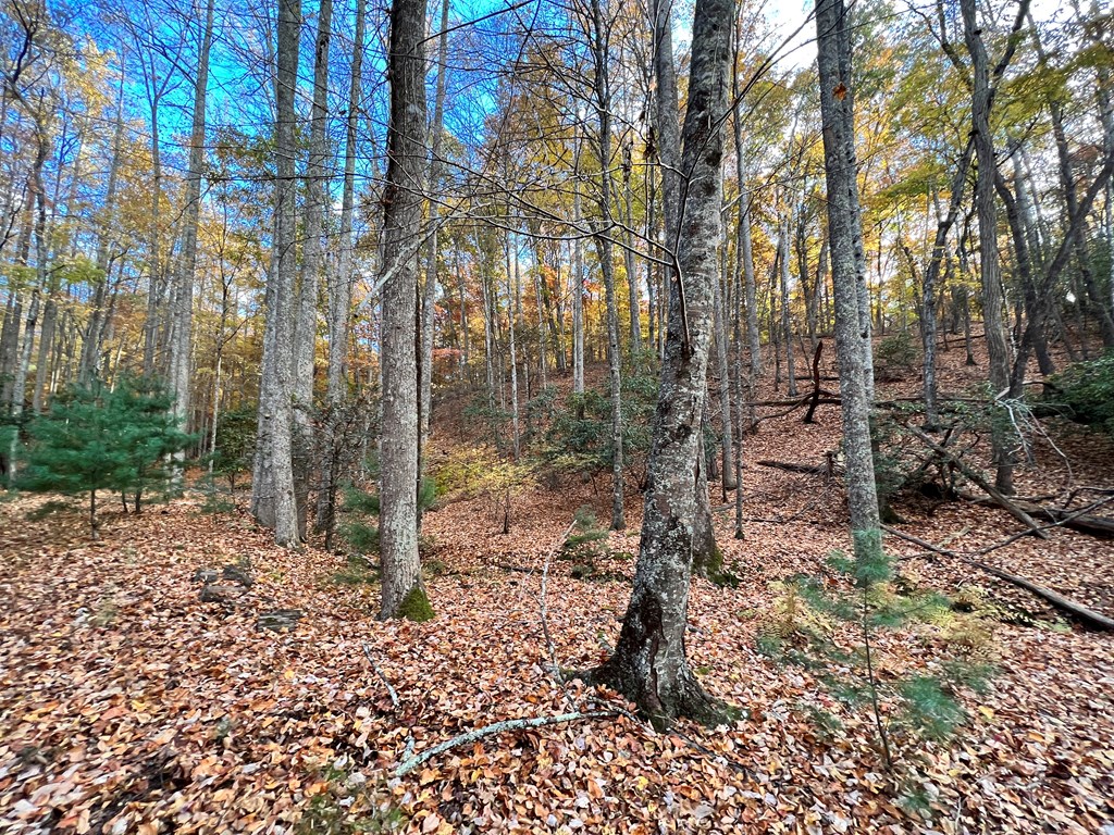 417401 Morganton Residential