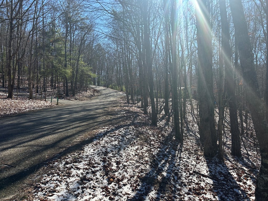 417417 Blairsville Land