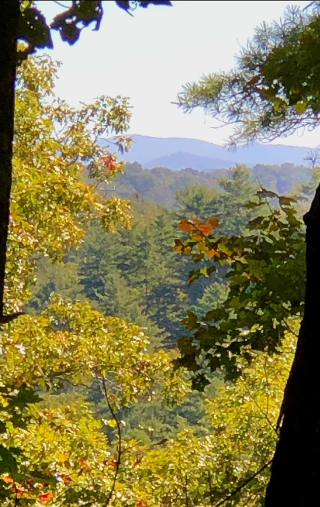 417427 Ellijay Land