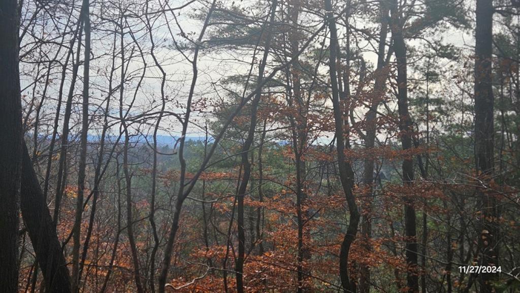 417427 Ellijay Land