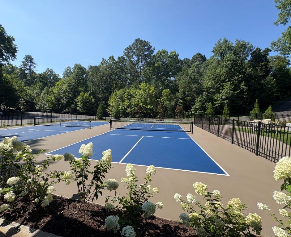 417427 Ellijay Land