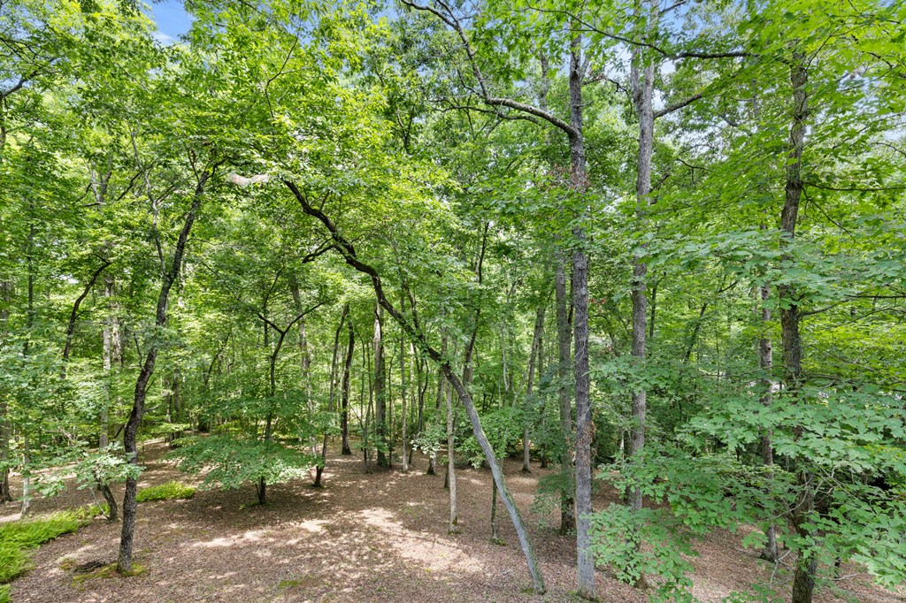 417466 Blue Ridge Residential