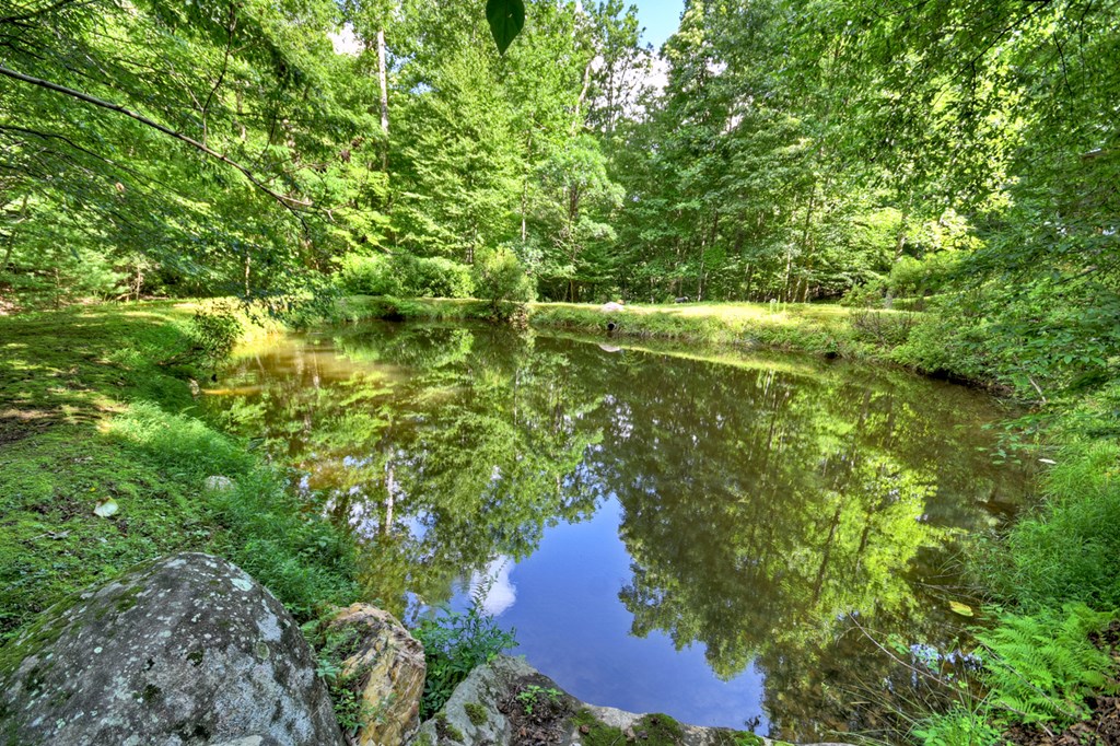 417482 Morganton Residential
