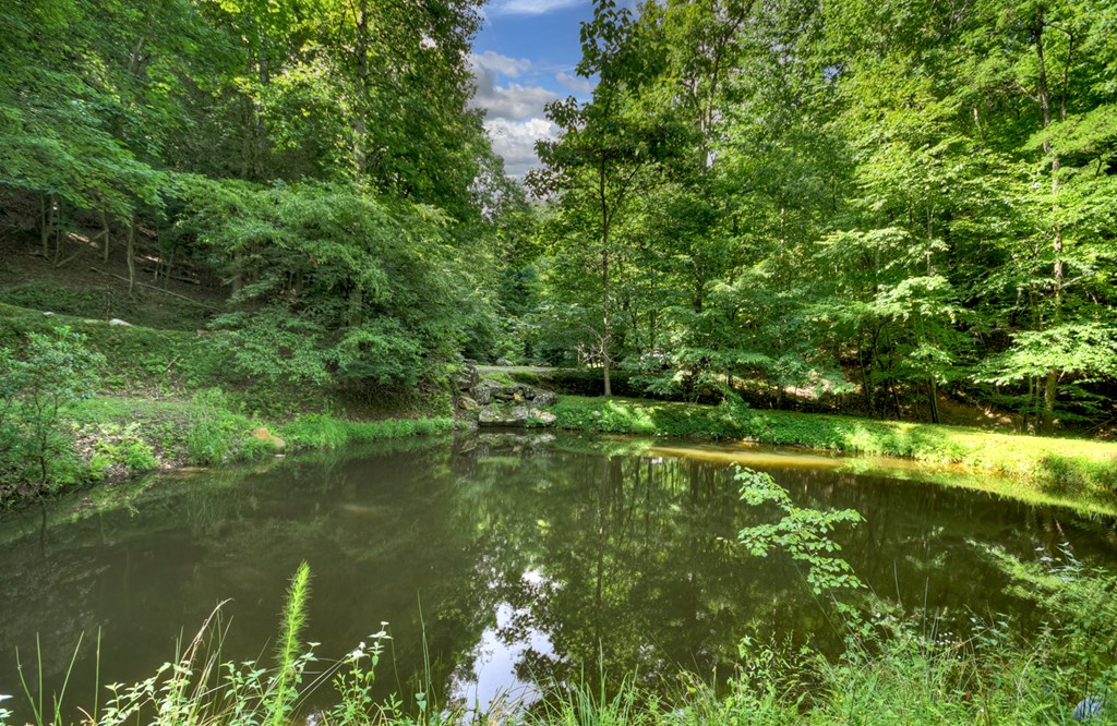 417482 Morganton Residential
