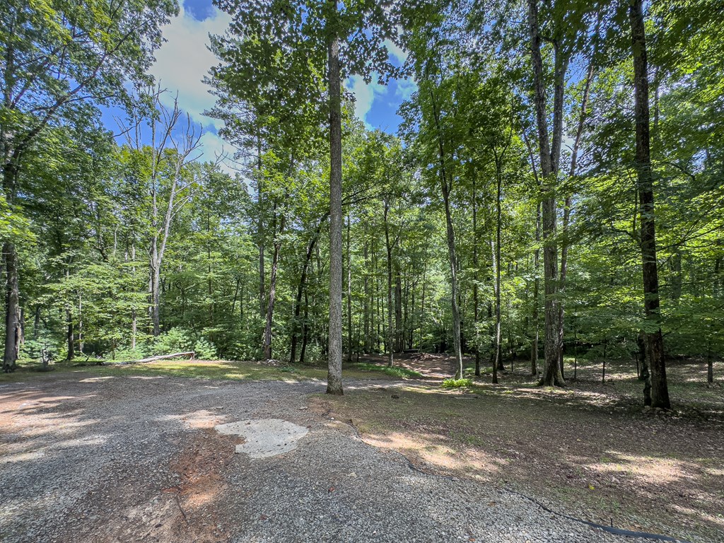 417491 Murphy Residential