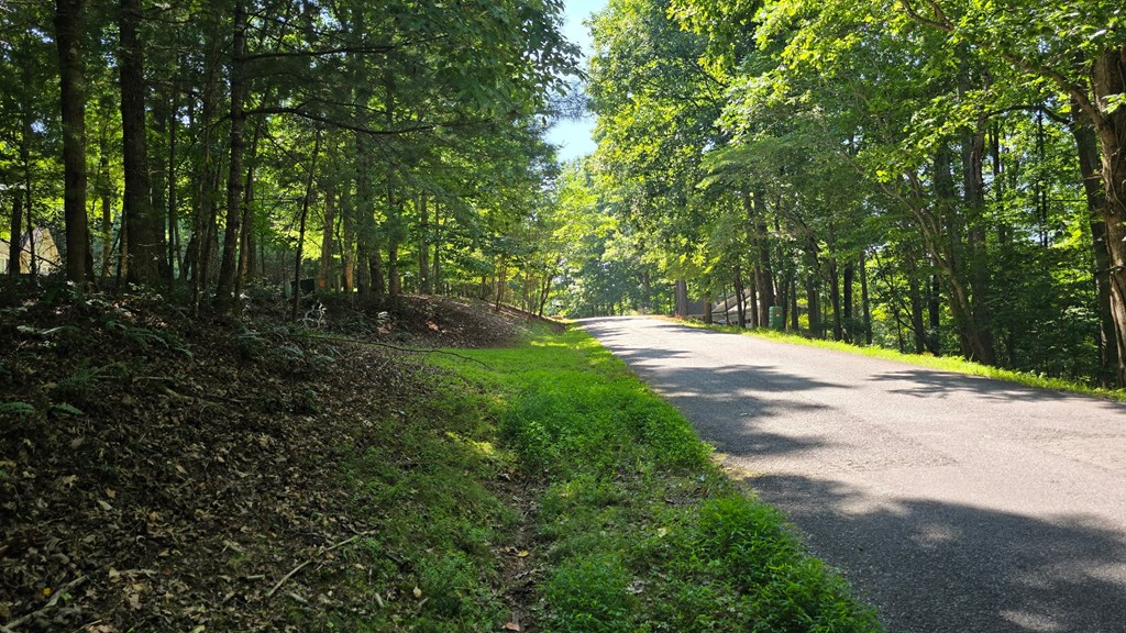 417496 Blairsville Land