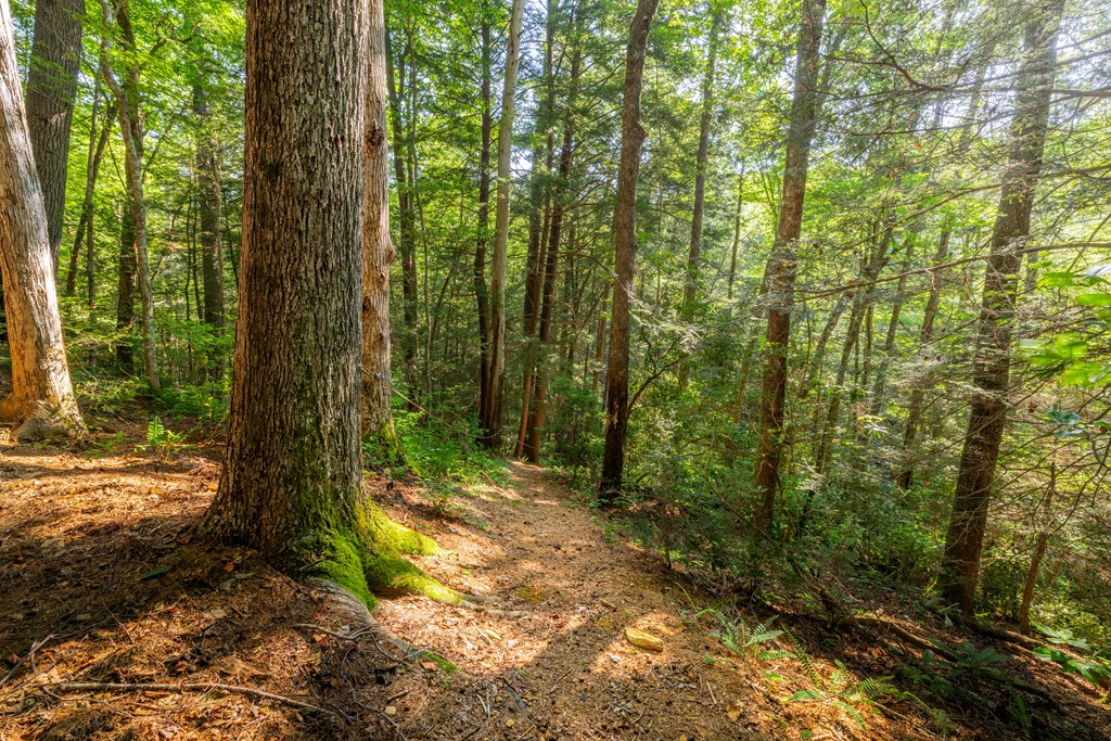 417554 Ellijay Residential