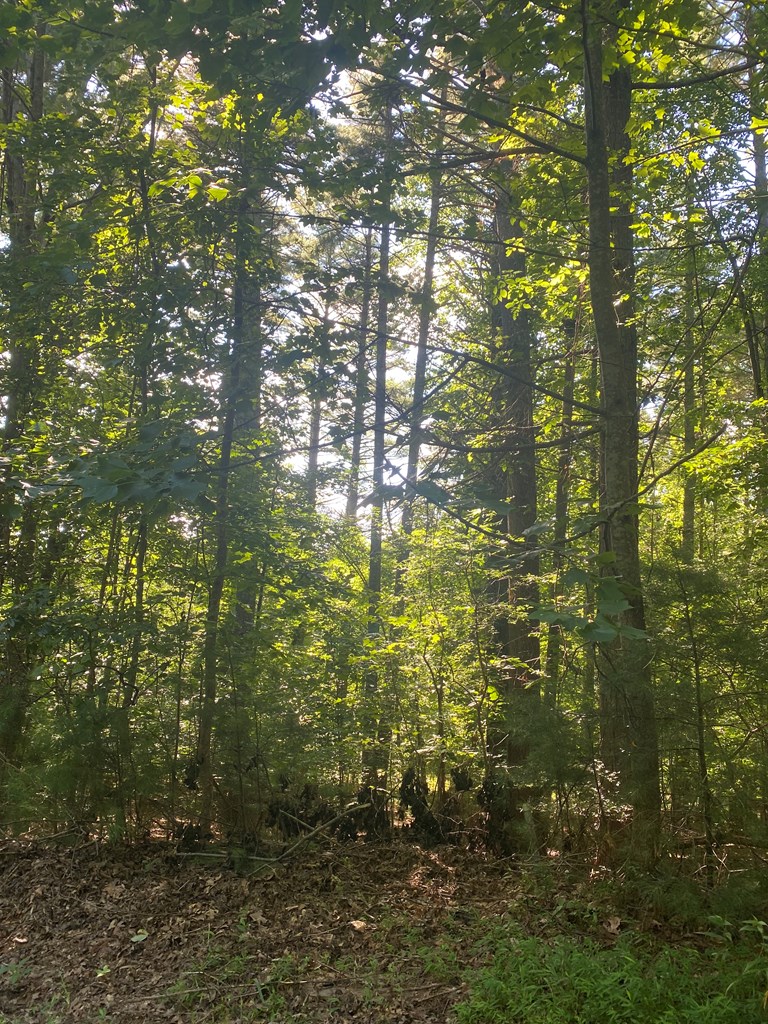 417577 Blairsville Land