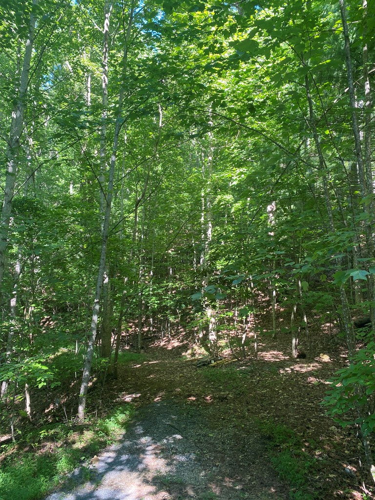 417580 Blairsville Land
