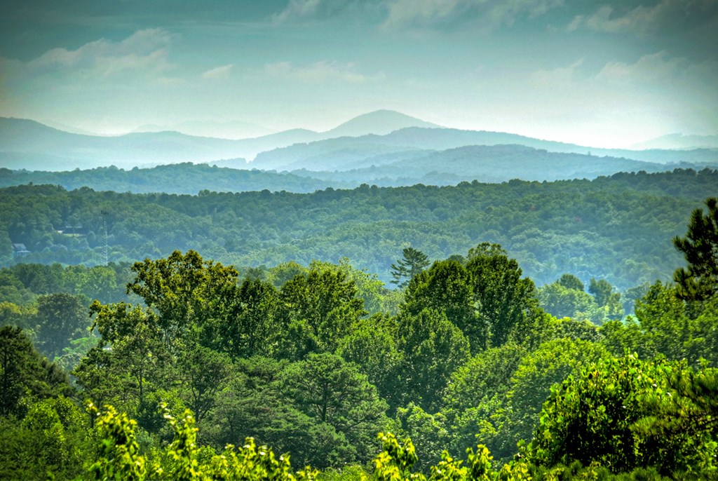 417584 Blue Ridge Residential