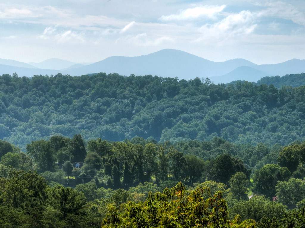 417584 Blue Ridge Residential