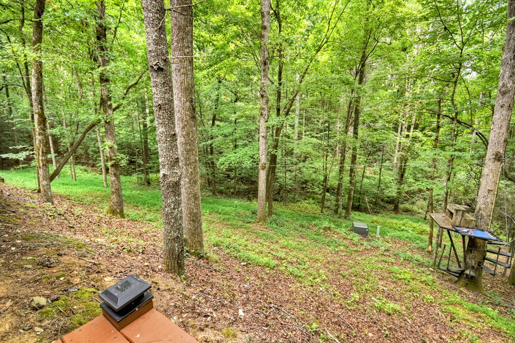 417597 Cherry Log Residential