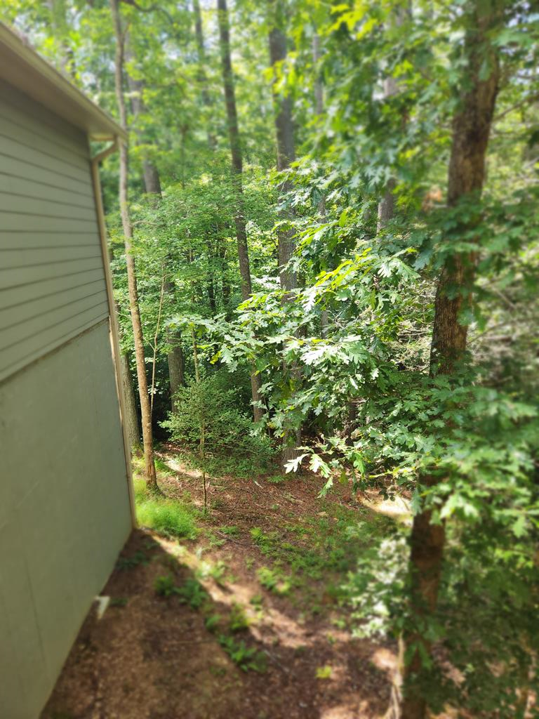 417633 Ellijay Residential