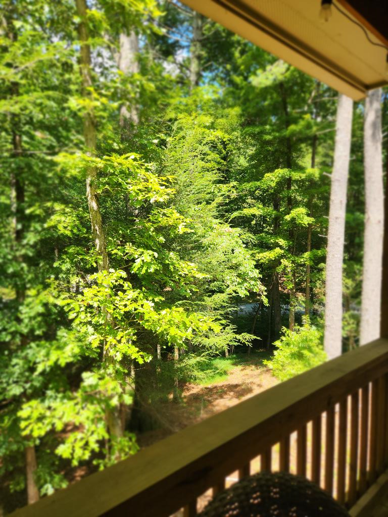 417633 Ellijay Residential