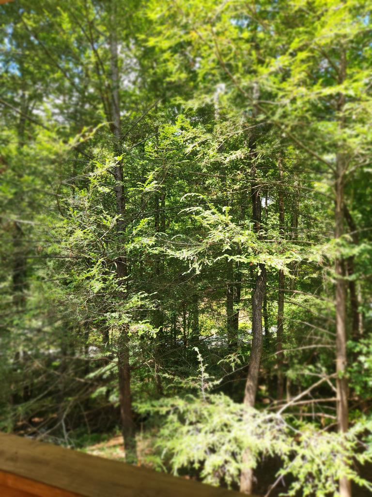 417633 Ellijay Residential