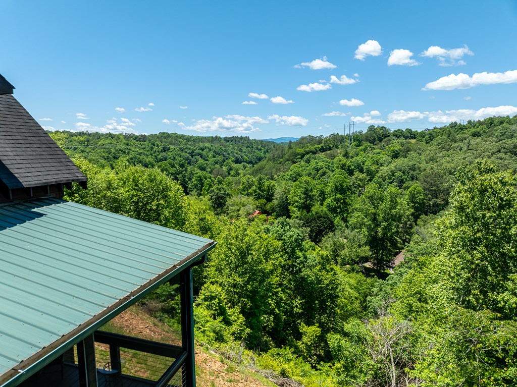 417637 Blue Ridge Residential