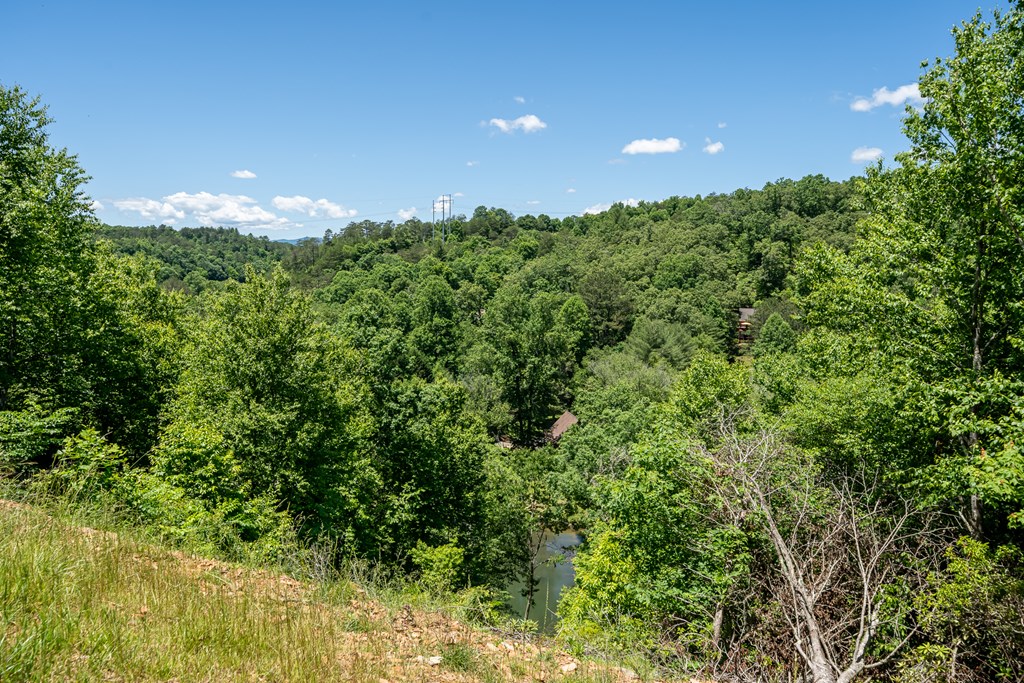 417637 Blue Ridge Residential