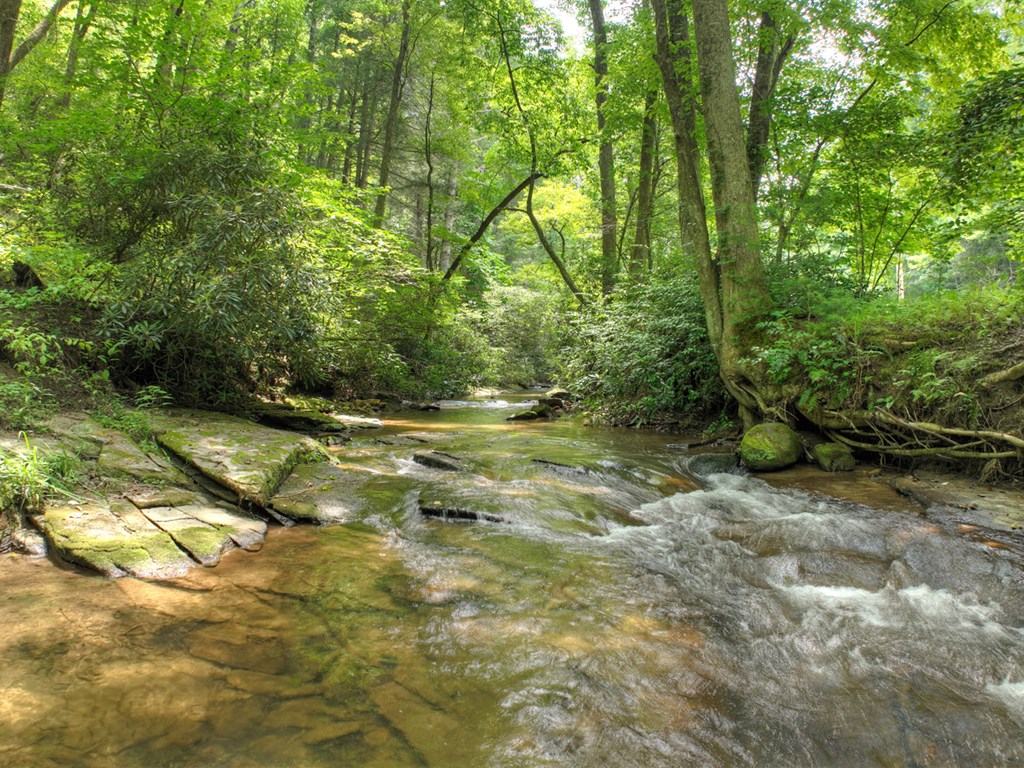 417642 Blue Ridge Residential