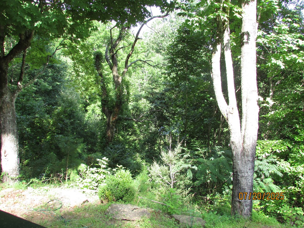 417645 Hiawassee Residential