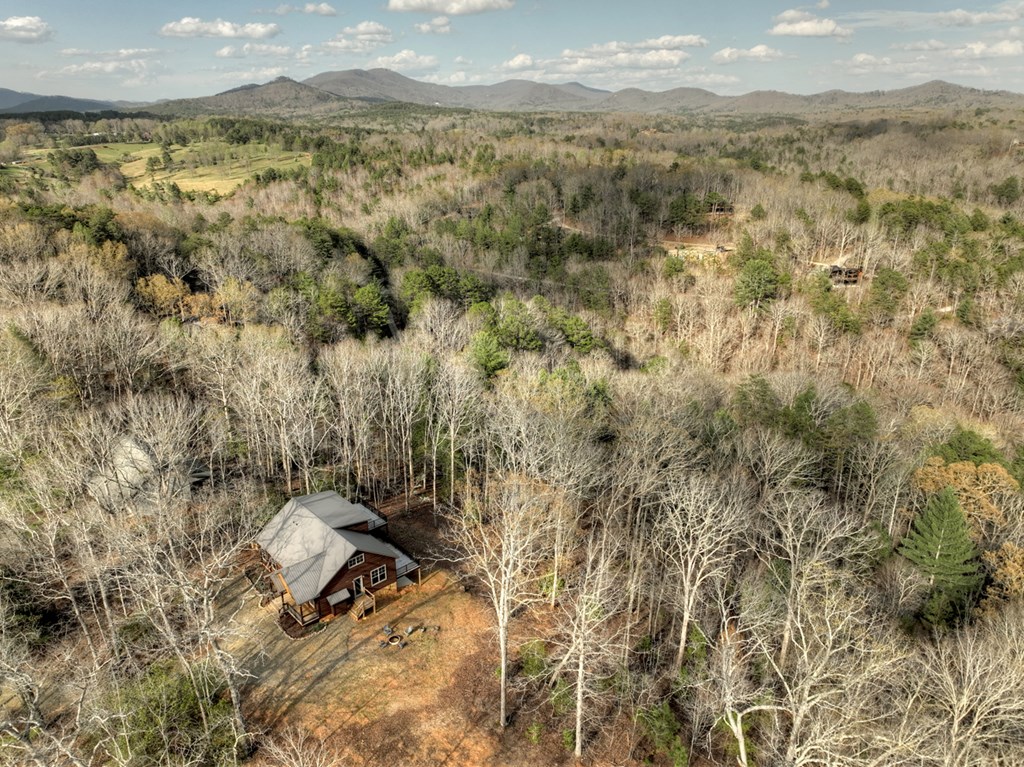 417657 Mineral Bluff Residential