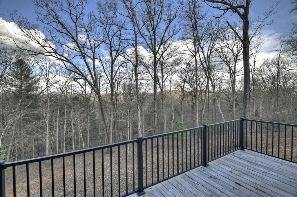 417657 Mineral Bluff Residential