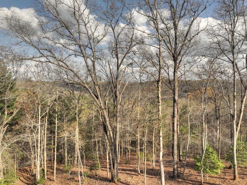 417657 Mineral Bluff Residential