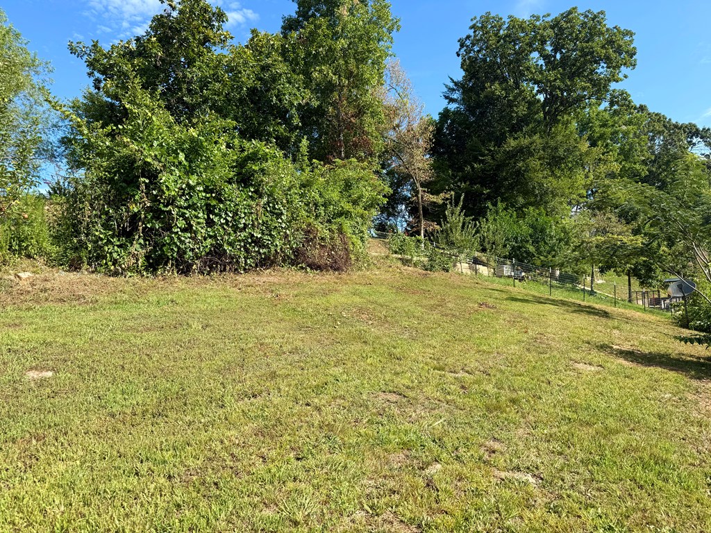 417662 Ellijay Residential