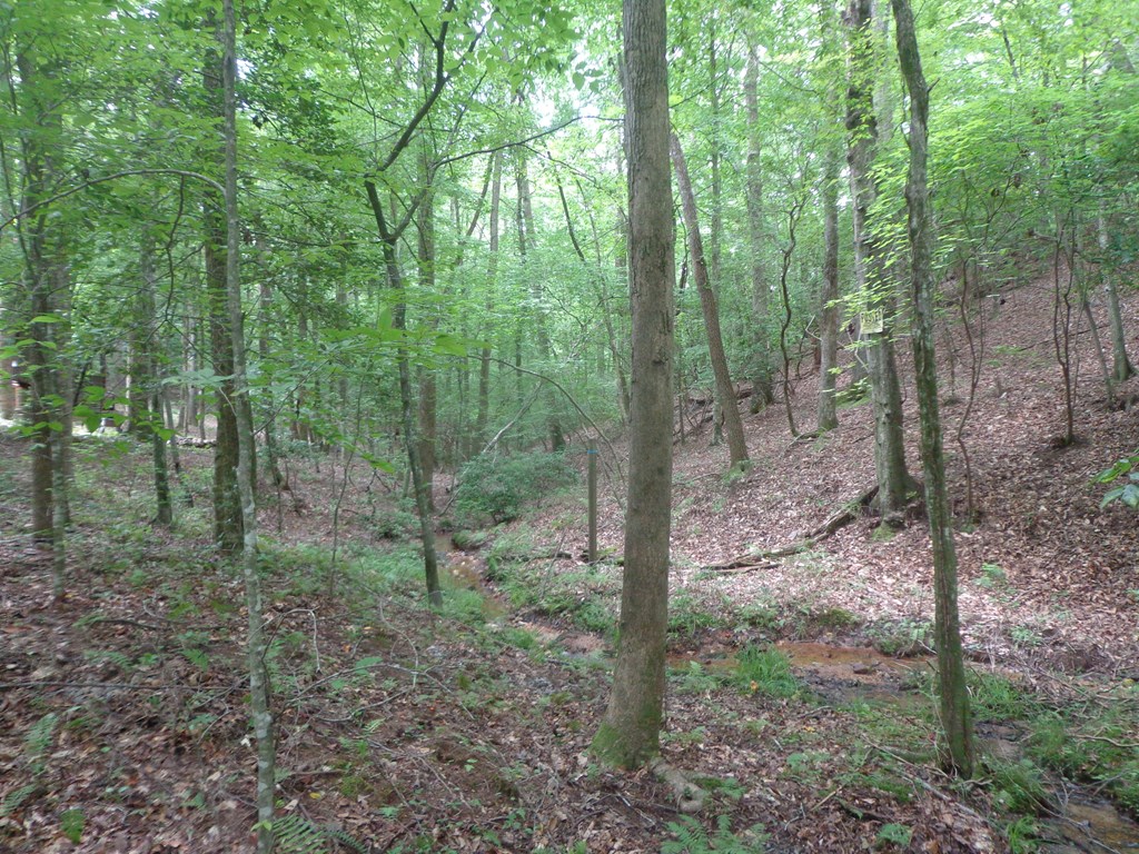 417671 Ellijay Residential