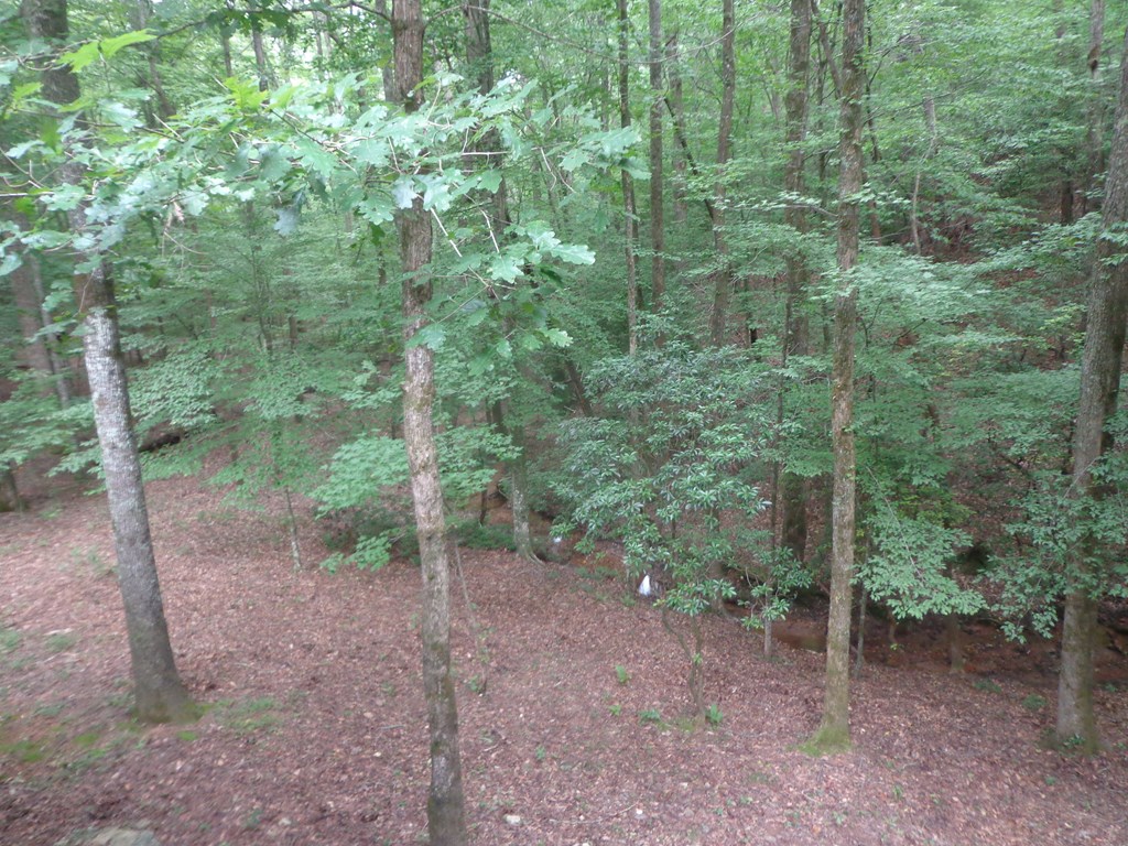 417671 Ellijay Residential