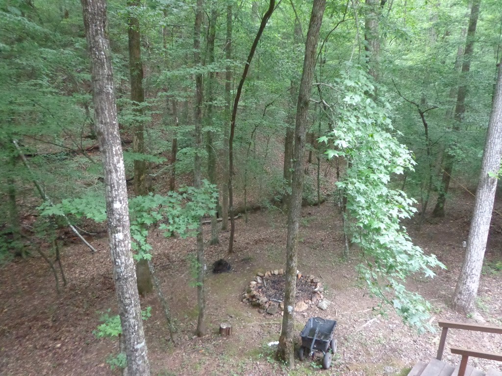 417671 Ellijay Residential