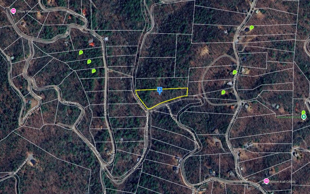 417685 Ellijay Land
