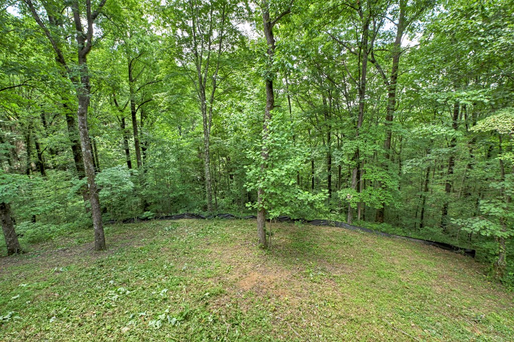 417703 Ellijay Residential