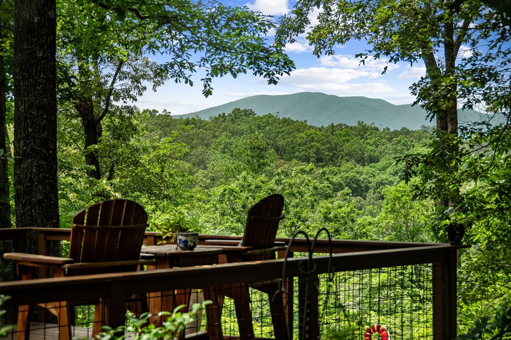 417704 Blue Ridge Residential