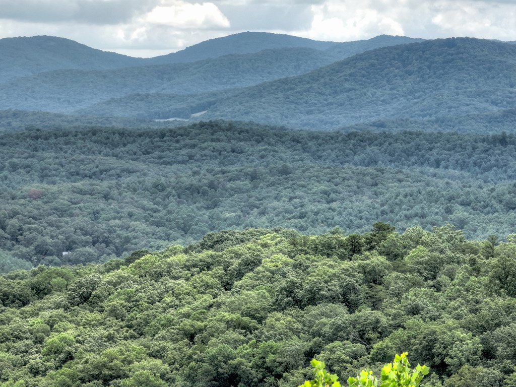 417711 Blue Ridge Residential