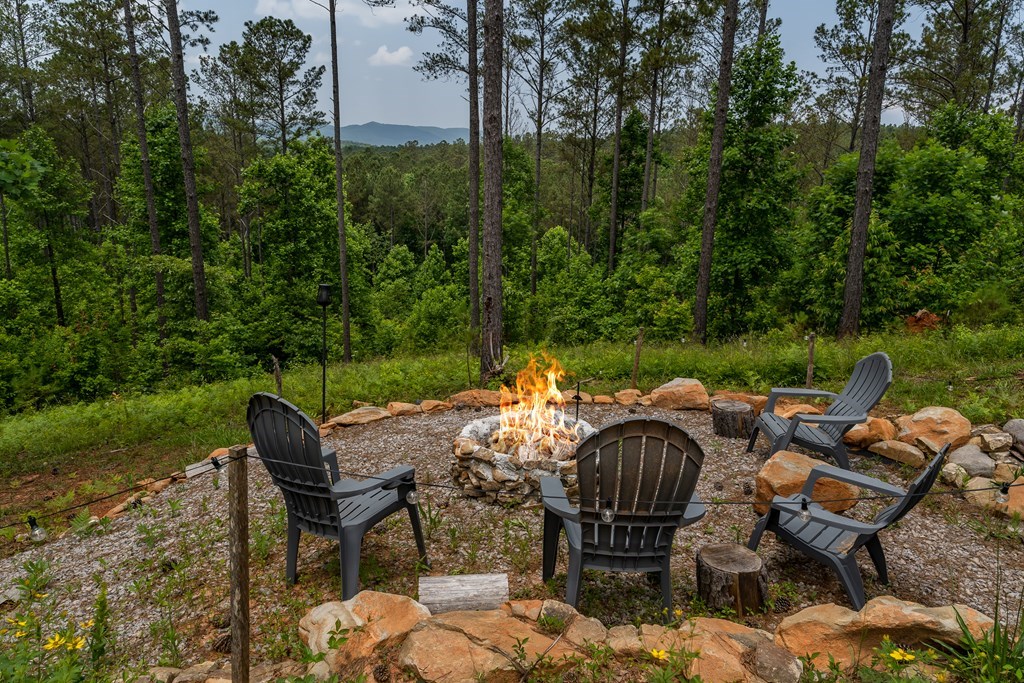 417725 Ellijay Residential