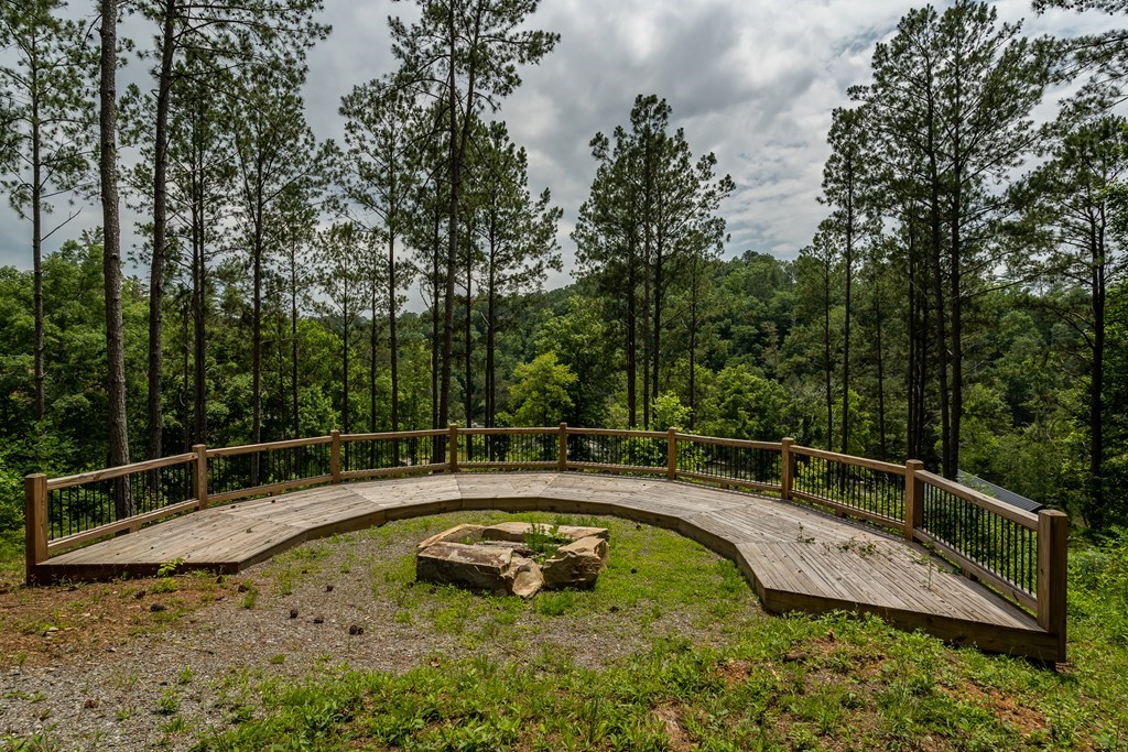 417725 Ellijay Residential