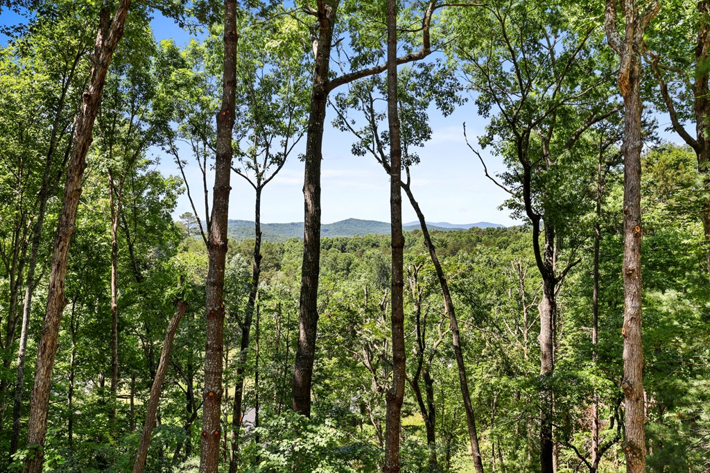 417775 Morganton Residential