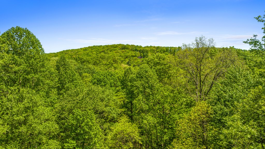 417776 Morganton Residential