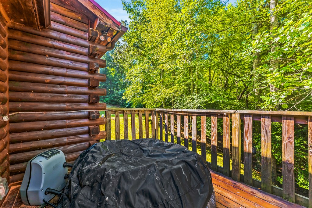 417805 Mineral Bluff Residential