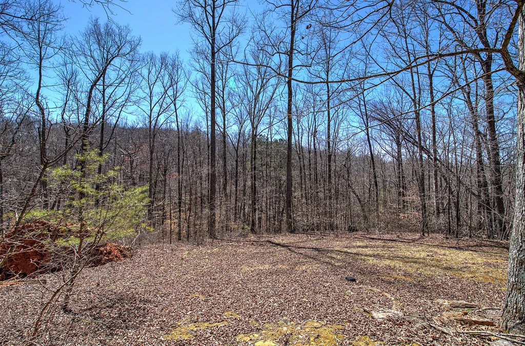 418138 Ball Ground Residential