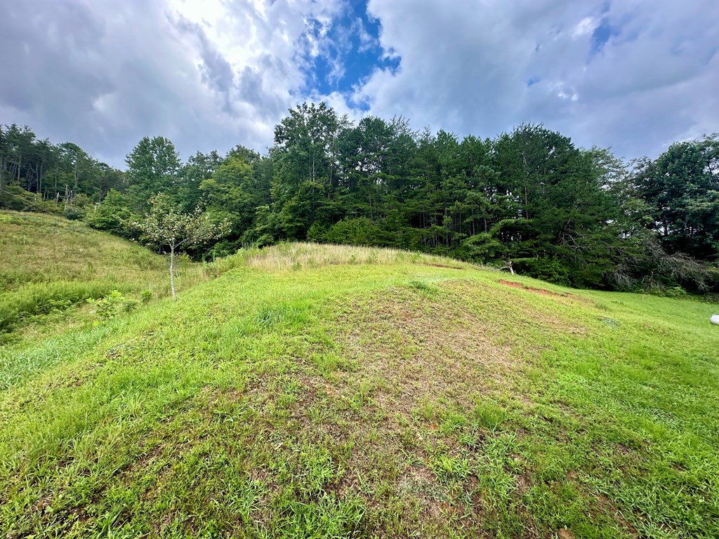 418167 Hayesville Residential