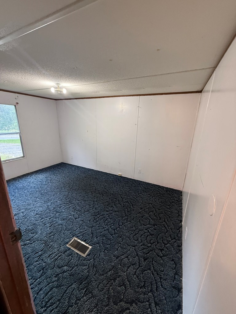 418221 Mineral Bluff Residential