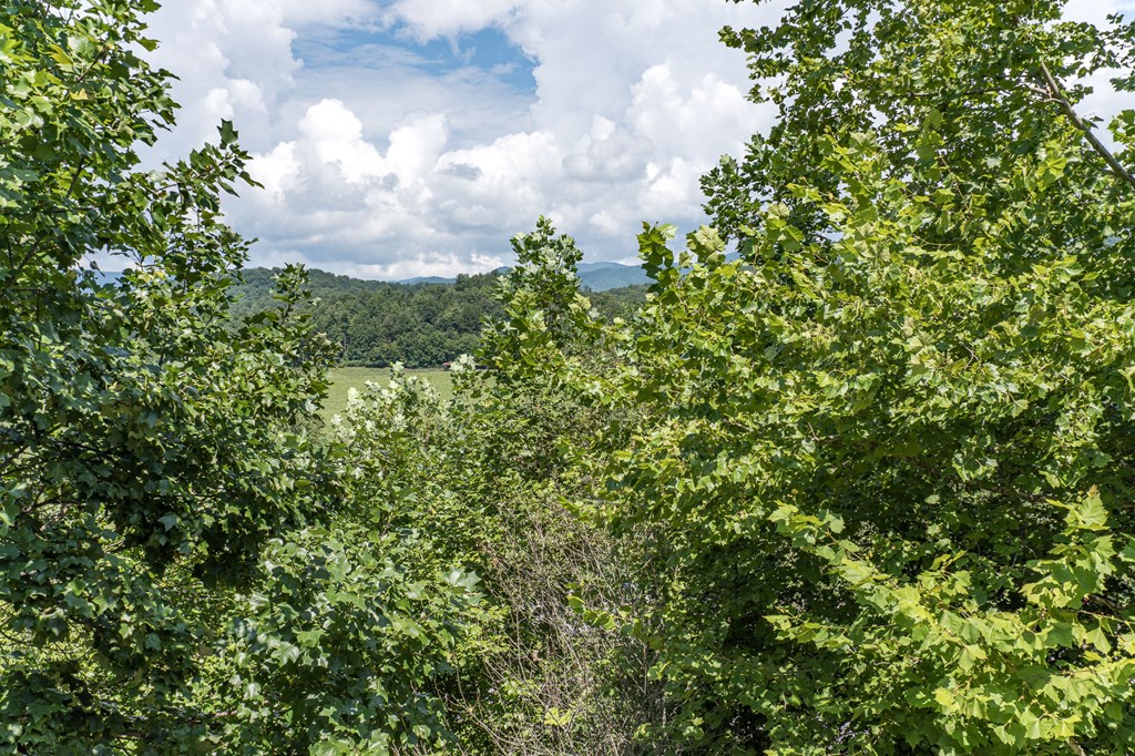 418374 Hayesville Residential